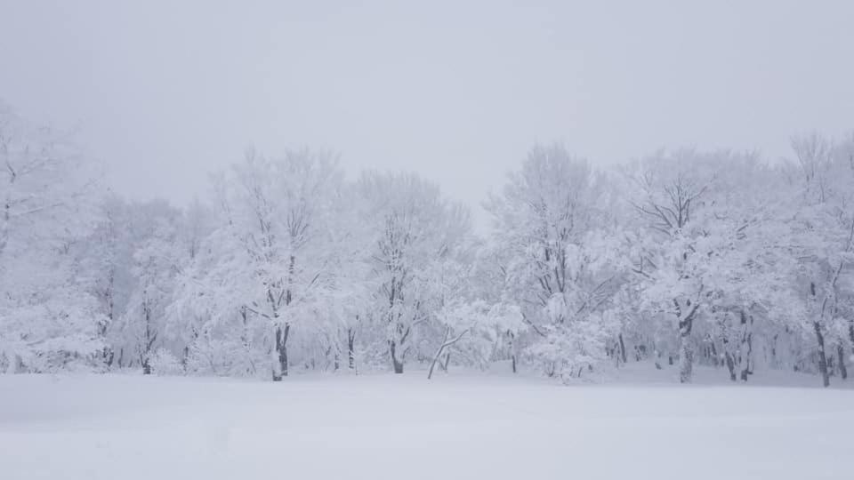 Konayuki 호텔 미요코 외부 사진